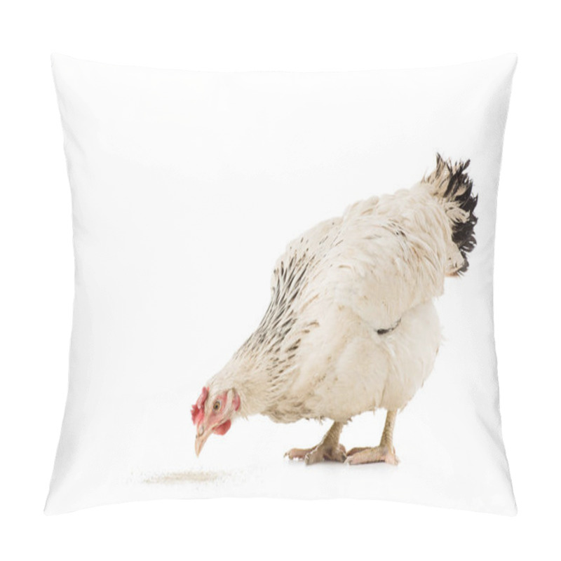 Personality  cute white hen eating isolated on white pillow covers