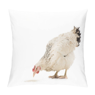 Personality  Cute White Hen Eating Isolated On White Pillow Covers