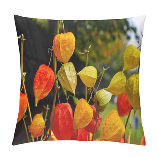 Personality  Beautiful Orange Fruits Of Physialis. Pillow Covers