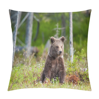 Personality  Cub Of Brown Bear  Pillow Covers
