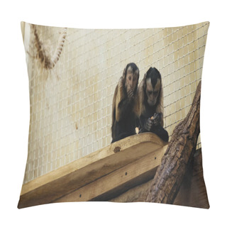 Personality  Brown Chimpanzee Eating Bread In Zoo Pillow Covers