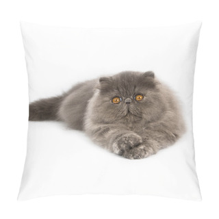 Personality  Persian Cat On White Background Pillow Covers