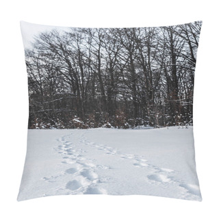 Personality  High Trees In Winter Forest With Traces On Snow In Carpathian Mountains Pillow Covers