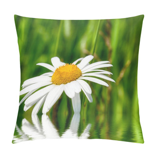 Personality  Spring Is Coming Pillow Covers