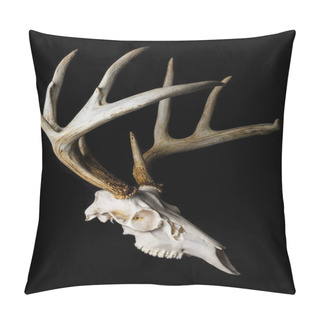 Personality  Close Up Of Deer Skull On Black Background Side View Pillow Covers