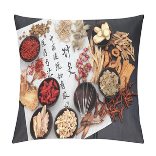 Personality  Acupuncture Alternative Medicine Pillow Covers