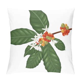 Personality  Coffe Species Branch With Coffee Berries And Blossom Pillow Covers
