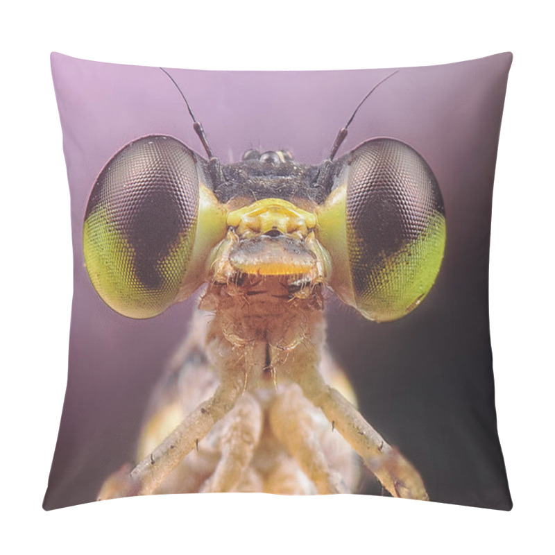 Personality  Close Up Shot Of Damselfly Pillow Covers