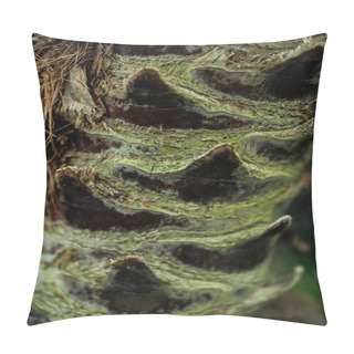 Personality  Close Up View Of Tree Textured Bark Covered With Moss Pillow Covers