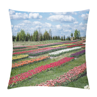 Personality  Colorful Tulips Field With Blue Sky And Clouds Pillow Covers