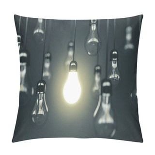 Personality  Many Light Bulbs And One Glows Pillow Covers