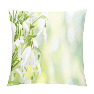 Personality  Delicate Spring Flowers Snowdrops. Spring Floral Background. Pillow Covers