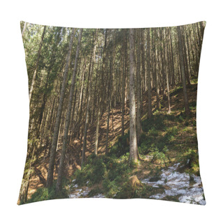 Personality  Forest With Snow On Hill In Spring Season  Pillow Covers