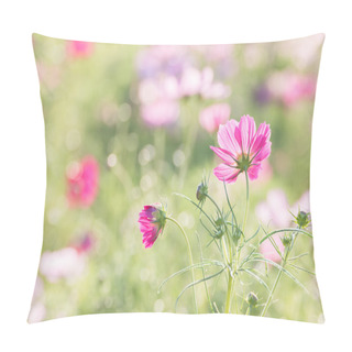 Personality  Cosmos Flower In Field Pillow Covers