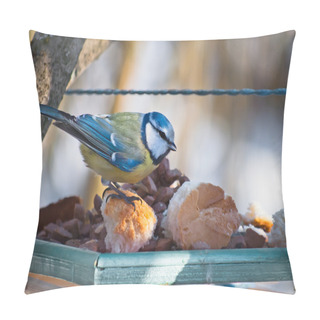 Personality  Songbird Blue Tit On Bird Feeder In The Park. Pillow Covers
