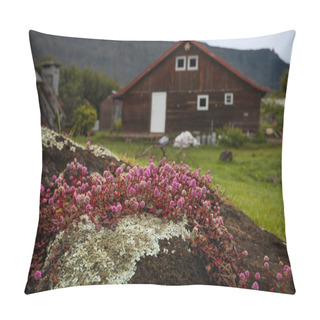 Personality  Flowers Grow From A Stone In The Background A House Of Wood That Is Blurred. Pillow Covers