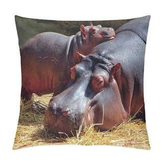 Personality  Hippos Pillow Covers
