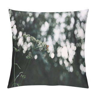 Personality  Selective Focus Of Bee On Cow Parsley Flowers With Blurred Background Pillow Covers
