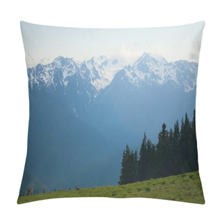 Personality  Mt. Olympus Peaks At Hurricane Ridge Pillow Covers