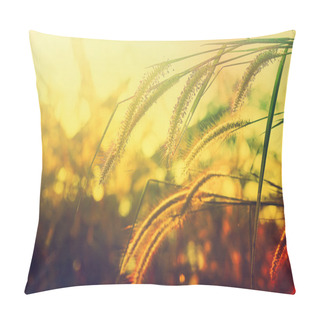 Personality  Prairie Evening. Pillow Covers