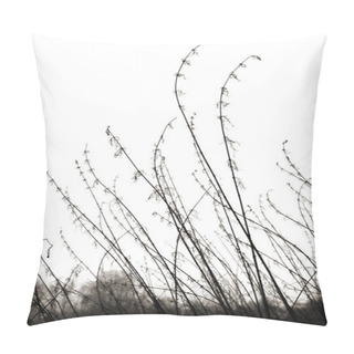 Personality  Decorative Organic Element. Pillow Covers