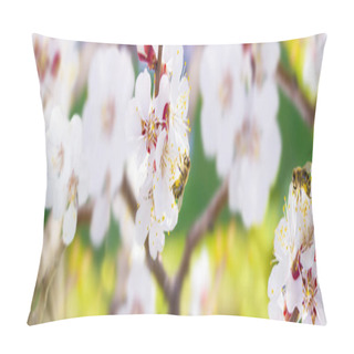 Personality  Spring. Bee Collects Nectar (pollen) From The White Flowers Of A Pillow Covers