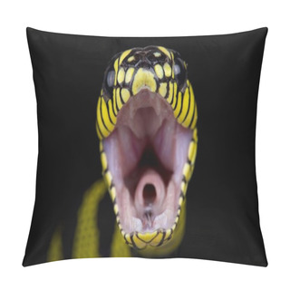 Personality  Philippine Gold Ringed Snake With Opened Mouth On Dark Background, Close-up     Pillow Covers