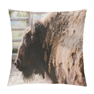 Personality  Close Up View Of Wild Bison At Zoo Pillow Covers