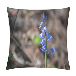 Personality  The Blue Flowers Of The Blue Bellflower Glow In The Sun Pillow Covers