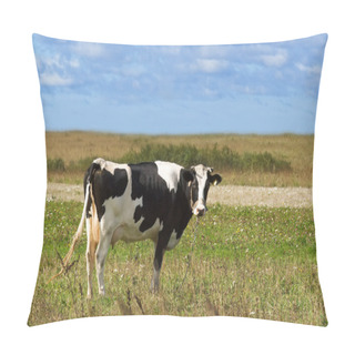 Personality  Dairy Cow Pillow Covers