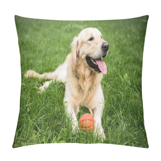 Personality  Golden Retriever Dog Lying With Rubber Ball On Green Lawn Pillow Covers