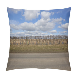 Personality  Hawthorn Hedge Pillow Covers