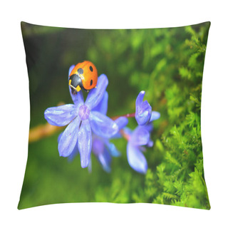 Personality  Sleeping Ladybird On A Blue Scilla Flower. Vibrant Green Microgreens On The Background. Pillow Covers