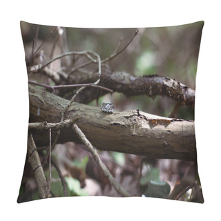 Personality  Beautiful Shiny Diamond Engagement Rings Placed On A Log In The Woods, With Copy Space Pillow Covers