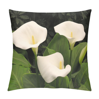 Personality  Calla Lily Flower Pillow Covers