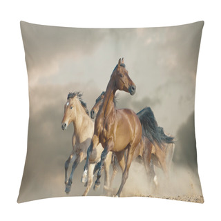 Personality  Horses Run In A Wild Pillow Covers