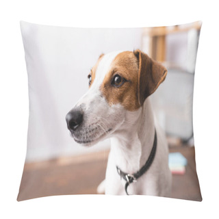 Personality  Selective Focus Of Jack Russell Terrier Looking Away In Office  Pillow Covers