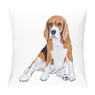 Personality  Sitting Beagle Pillow Covers