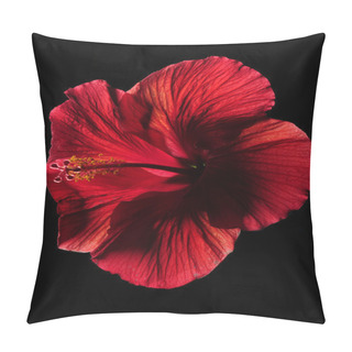 Personality  Red Hibiscus Flower On Black Pillow Covers