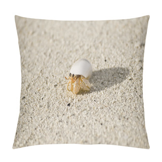 Personality  Shell Cancer Pillow Covers