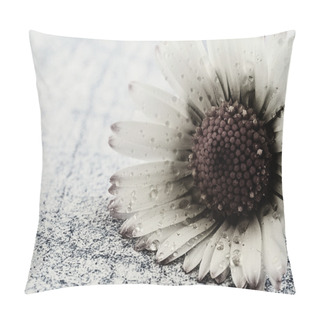 Personality  Close-up Daisy Pillow Covers