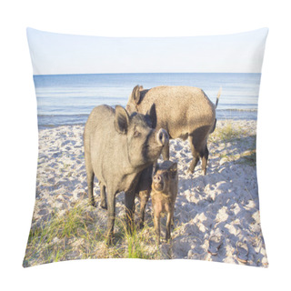 Personality  Wild Pigs Family Walk On Sea Beach Sands Pillow Covers