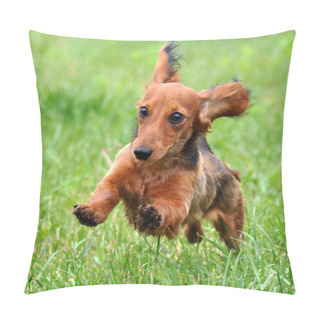 Personality  Dachshund Dog Running Pillow Covers