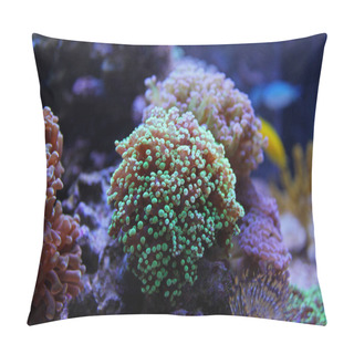 Personality  Ultra Green Euphyllia Coral Pillow Covers