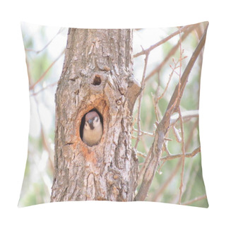 Personality  Little Bird In The Spring Forest Tree  Pillow Covers