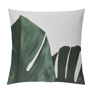 Personality  Partial View Of Beautiful Monstera Leaves Isolated On White Pillow Covers