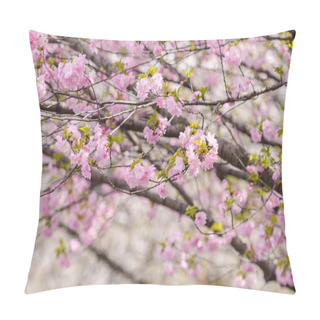 Personality  Sakura Or Japan Cherry Blossom Branches, Which Will Fully Bloomi Pillow Covers