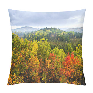 Personality  Fall Forest Pillow Covers
