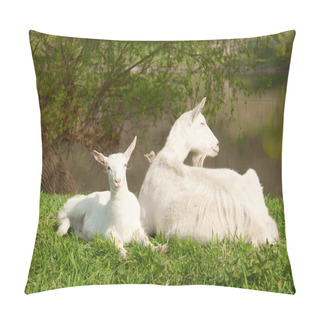 Personality  Goats Pillow Covers
