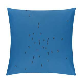Personality  Flock Of Jackdaws Flying Pillow Covers